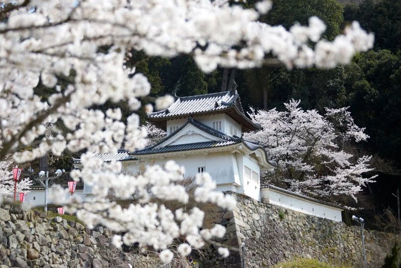 Izushi Castle Ruins, Japan